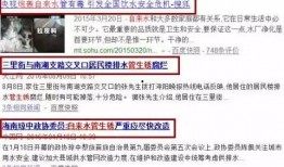 新闻爆料是什么东西,新闻爆料背后的神秘力量