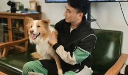 北京大民最新爆料林生斌,北京大民最新爆料揭露惊人内幕