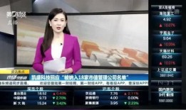 叶飞爆料更新视频大全下载,揭秘幕后真相