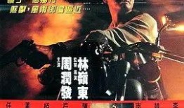 侠盗高飞电影在线观看,在线观影，尽享刺激冒险之旅