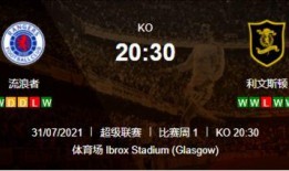 流浪者前瞻爆料视频,揭秘游戏新篇章，探索未知宇宙奥秘