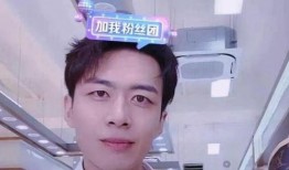 刘凯鹏前妻爆料视频,揭秘婚姻内幕与情感纠葛