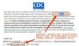 前辉瑞副总裁爆料视频是真的吗,真相究竟如何？”