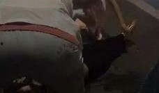 宜宾女子爆料视频,揭露惊人真相！