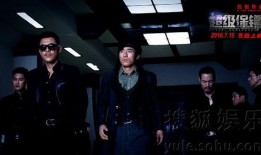 超级保镖电影在线观看,巅峰对决，守护使命