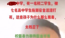 爆料安徽学生死亡视频,真相背后引人深思