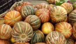 平顶山新瓜最新爆料,揭秘背后惊人真相