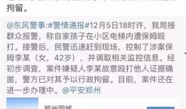 网友爆料保姆视频大全播放,揭秘家政服务背后的真实故事