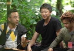 汪涵圈内爆料是真的吗,汪涵圈内爆料真实性揭秘