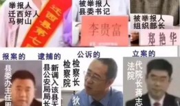 马树山最新爆料消息,揭秘娱乐圈惊人内幕