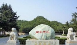 运城袁家村爆料案例最新,揭秘乡村旅游业背后的利益纠葛