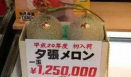 娱乐吃瓜群众一名,吃瓜群众视角下的明星幕后故事