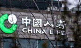 中国人寿最新爆料,揭秘保险行业内幕与变革动向