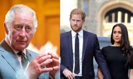 哈里王子爆料查尔斯视频,王室秘闻曝光