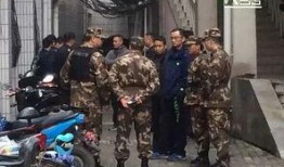河南学校爆料新闻事件,揭开校园安全与教育乱象的真相